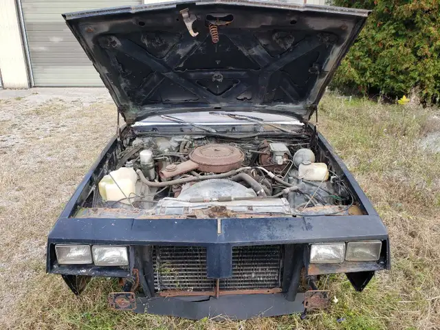 1984 Cutlass Supreme - Photo 3