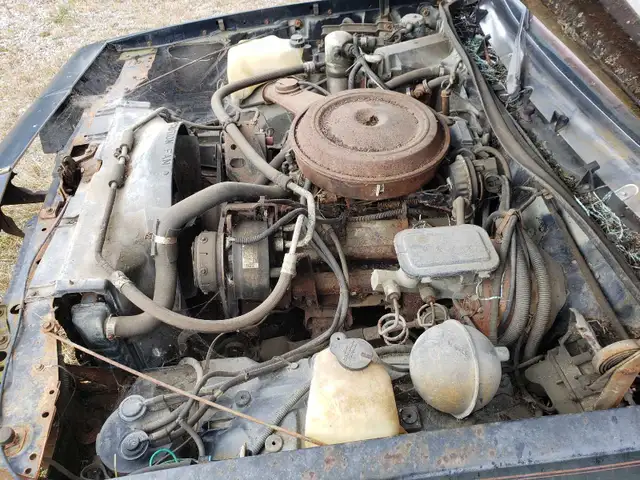1984 Cutlass Supreme - Photo 4