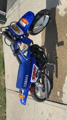 pw 50 2 stroke
