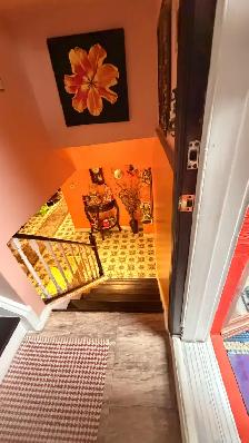 Fully Furnished Basement Apartment for Rent – Etobicoke North - Photo 2
