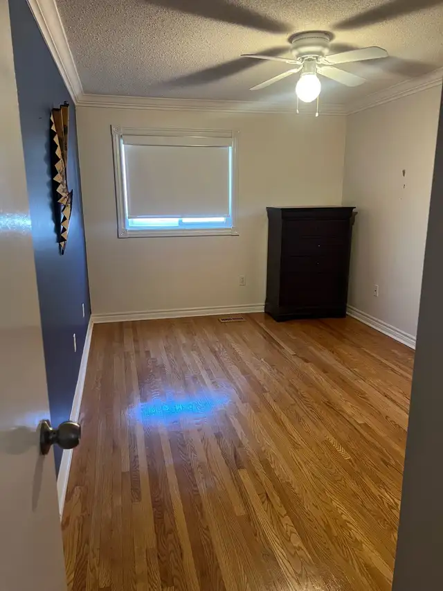 Room for rent Brampton - Photo 2