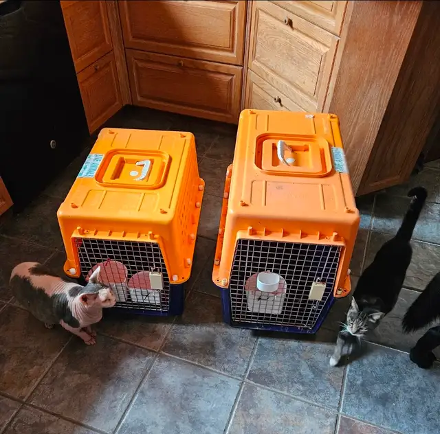 PET CARRIER CRATES