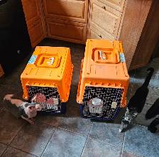 PET CARRIER CRATES