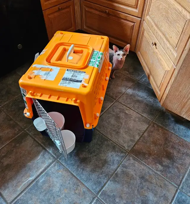 PET CARRIER CRATES - Photo 3