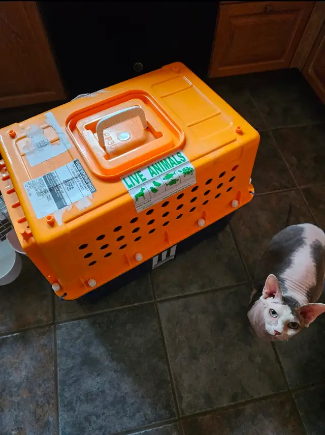 PET CARRIER CRATES - Photo 4