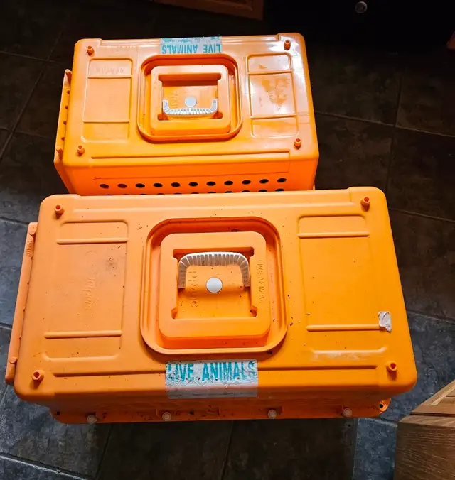 PET CARRIER CRATES - Photo 8