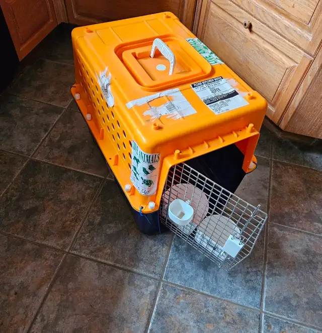 PET CARRIER CRATES - Photo 9