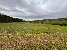 Beau terrain de 3 acres