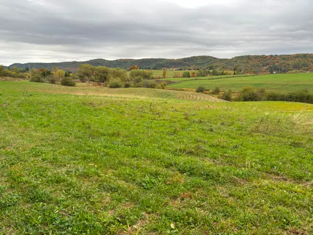 Beau terrain de 3 acres - Photo 2