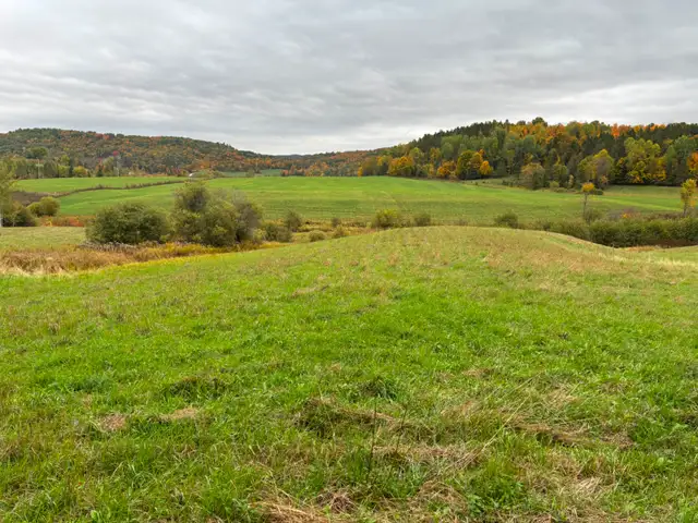 Beau terrain de 3 acres - Photo 3
