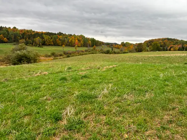 Beau terrain de 3 acres - Photo 4