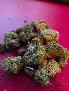Premium Botanical Herbs - Limited Stock!