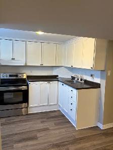 Newly Renovated 2 Bedroom, 1 Full Bath Apartment in Orillia - Photo 3