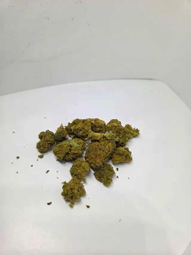 Top-Shelf Botanical Product - Local Only! - Photo 2