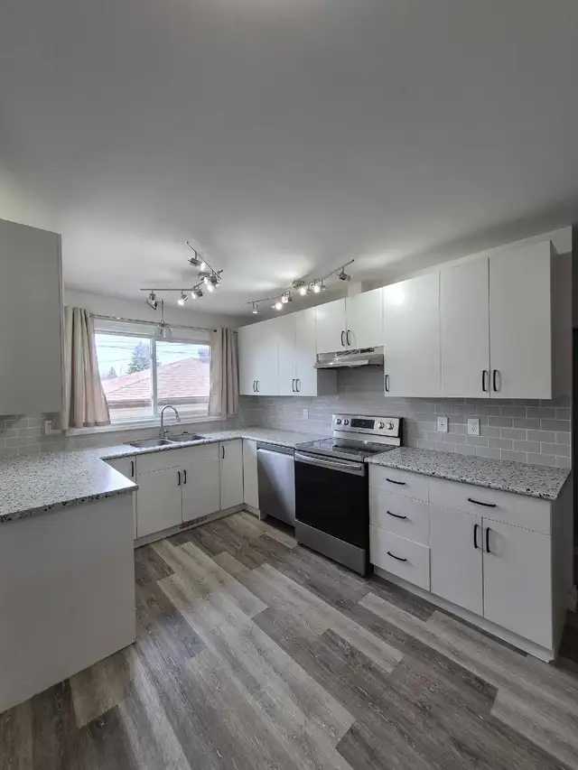 3 Bedroom, 1 Bathroom Main Floor Unit - Photo 2