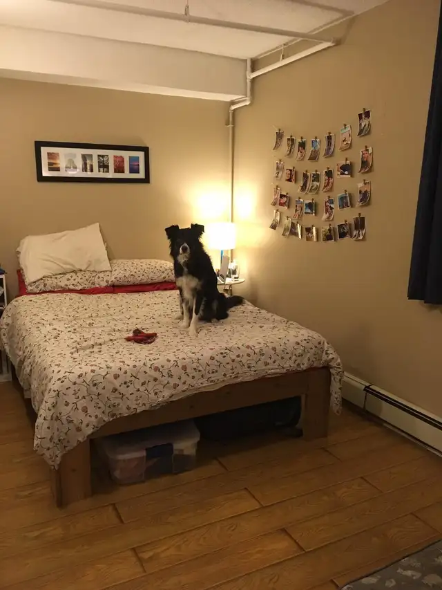 1BR studio lower level at 385 Woolwich St - clean, quiet $1475 - Photo 4