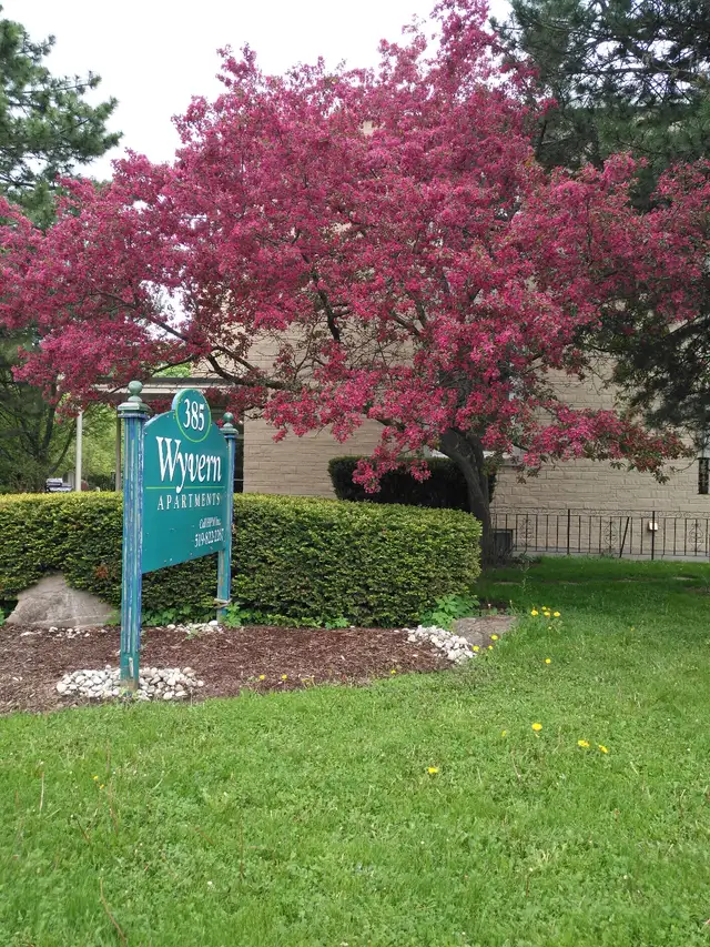1BR studio lower level at 385 Woolwich St - clean, quiet $1475 - Photo 9