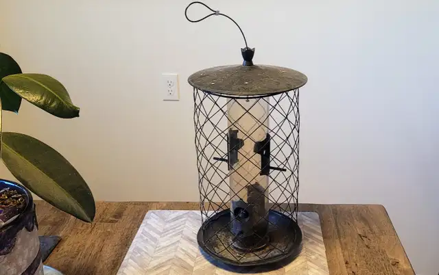Squirrel Proof Bird Feeder
