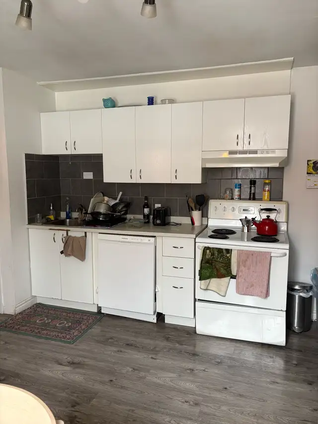 Huge 4 Bedroom …de Lorimier…near Lafontaine Park - Photo 2