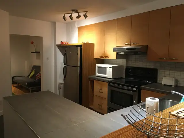 4 BedroomPrivate Backyard on De Lorimier - Photo 2