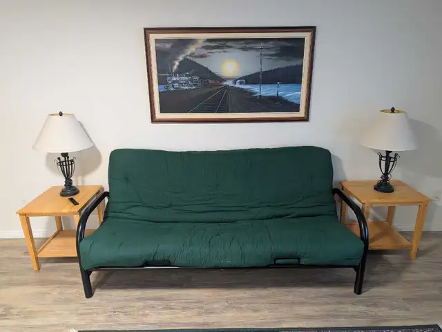 GARAGE SALE 30 PINEGROVE BELLEVILLE ONTARIO SAT MAY 2 8:30AM - Photo 2