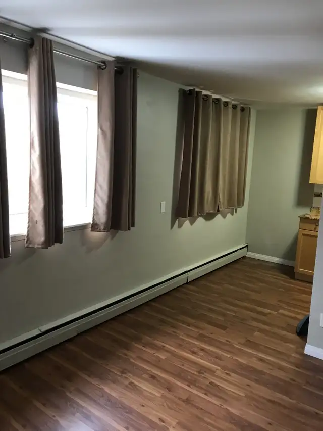 1 BR apartment available for rent on 499 Corydon . - Photo 4