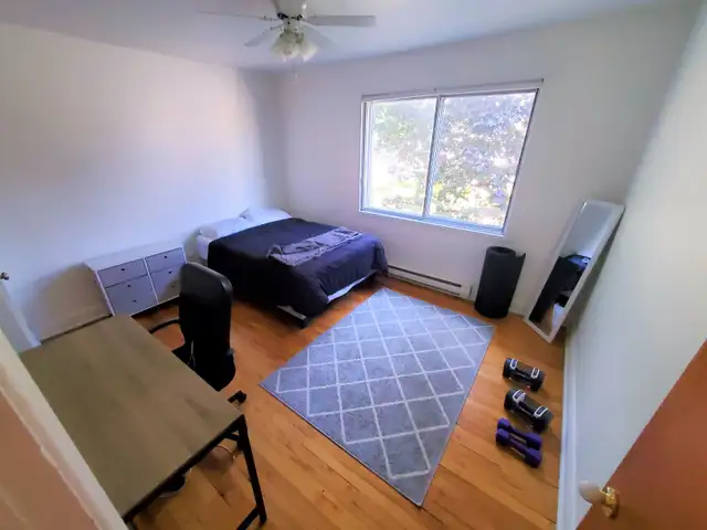 Large spacious bright 3 1/2 and 4 1/2 apt. in Sainte-Anne - Photo 4