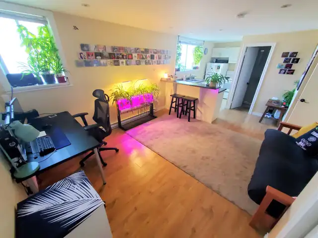 Large spacious bright 3 1/2 and 4 1/2 apt. in Sainte-Anne - Photo 6