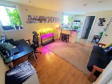 Large spacious bright 3 1/2 and 4 1/2 apt. in Sainte-Anne - Photo 6