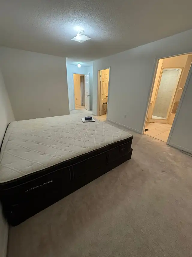 3-Bedroom House For Rent: Markham Rd & Denison St - Photo 6
