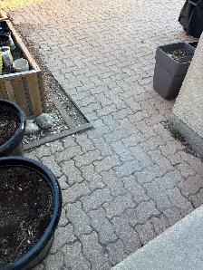 FREE to good home- Barkman interlocking paving stones.