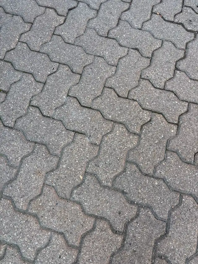 FREE to good home- Barkman interlocking paving stones. - Photo 4