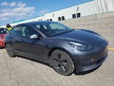 2023 Tesla Model 3 No Accidents l Standard Range l RWD l LFP - Photo 2