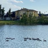 2Bedrm  LR above ground,  bright, clean, all inclusive, Lake - Photo 3