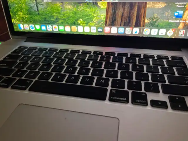 macbook pro the speakers needs to be changed the rest like new