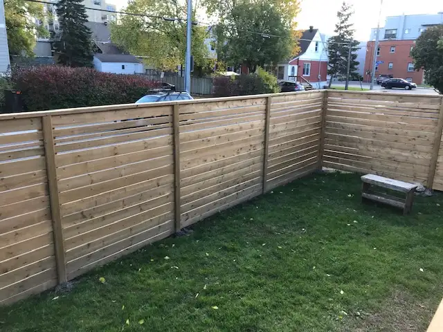 Hedges (near College Square) - Photo 2