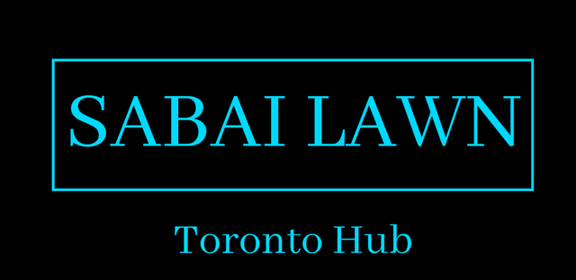 Be your own PT Driver for Lawn Care (Sabai FleX) - Photo 6