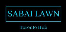 Be your own PT Driver for Lawn Care (Sabai FleX) - Photo 6