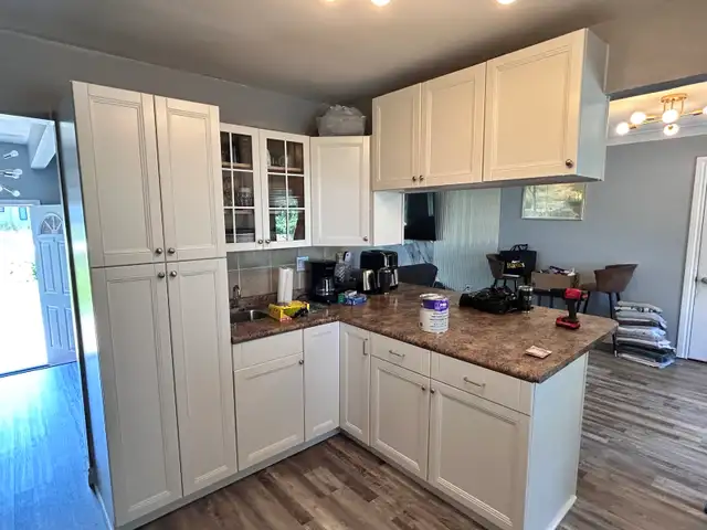 Cabinet Re coloring - Photo 5