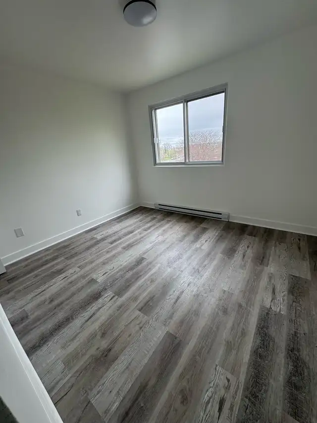 logement à louer