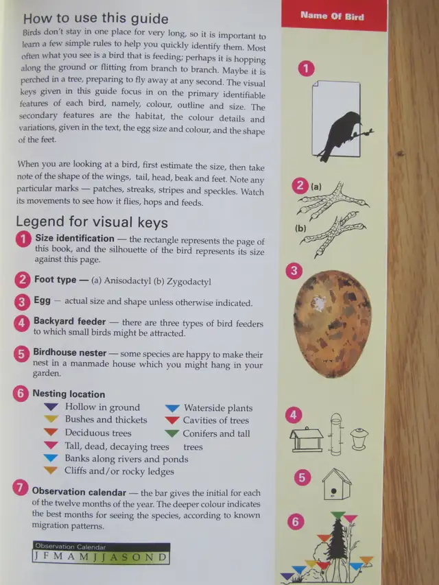 FORMAC POCKET GUIDE TO NOVA SCOTIA BIRDS by Jeffrey C. Domm - 20 - Photo 5