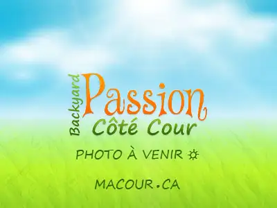 Maison / chalet 26x40. PRIX GARANTIE JUSQU'EN JUIN 2028. $BUDGET - Photo 6