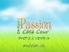 Maison / chalet 26x40. PRIX GARANTIE JUSQU'EN JUIN 2028. $BUDGET - Photo 6