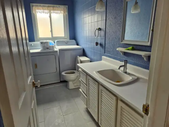 Waterfront 3 1 BDR Lower Unit for Rent – Gatineau (Hull) - Photo 4