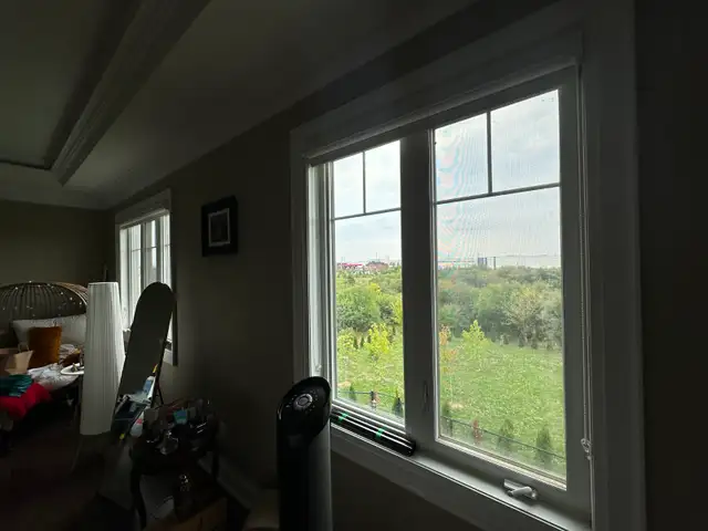 Home & Office Tinted Window Film - Photo 3