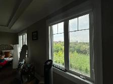 Home & Office Tinted Window Film - Photo 3