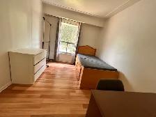 Room for rent to male students Waterloo