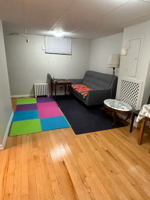 Gem on the Glebe avenues - July 1 - 2 bed bsmt - Photo 2