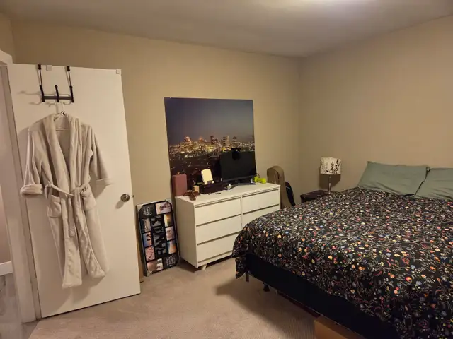Beautiful One Bedroom fully contained B-Suite  Quiet, clean, pro - Photo 4
