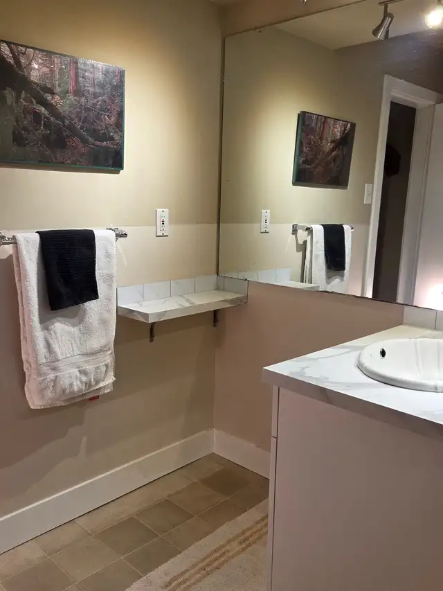 Beautiful One Bedroom fully contained B-Suite  Quiet, clean, pro - Photo 8